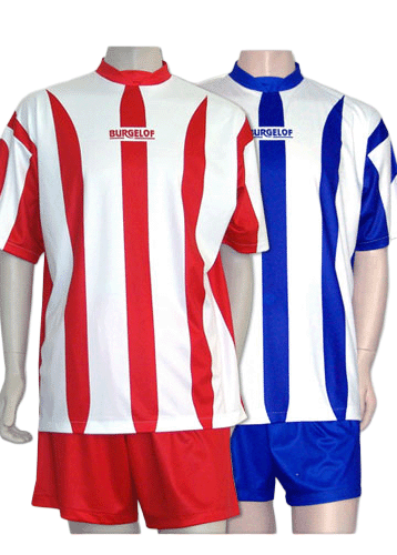 Хандбален екип Traffic